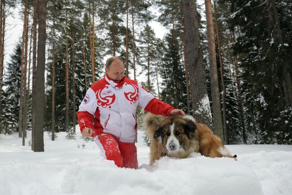 Vladimir Putin Romps in Snowdrifts With His Dogs in the Moscow Region Vladimir Putin Romps in Snowdrifts With His Dogs in the Moscow Region - Sputnik International