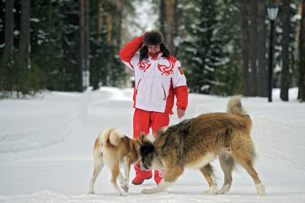 Vladimir Putin Romps in Snowdrifts With His Dogs in the Moscow Region Vladimir Putin Romps in Snowdrifts With His Dogs in the Moscow Region - Sputnik International