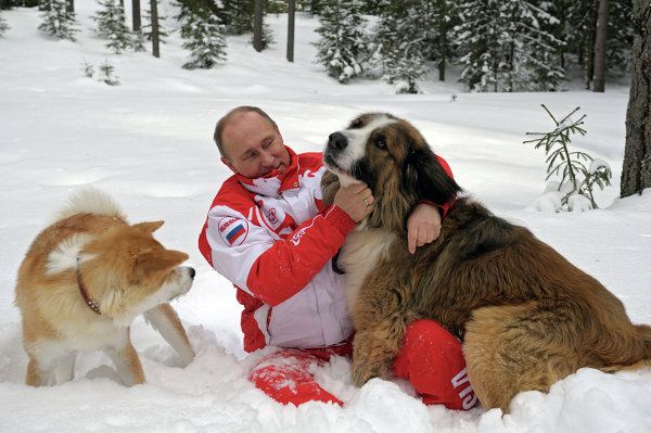 Vladimir Putin Romps in Snowdrifts With His Dogs in the Moscow Region Vladimir Putin Romps in Snowdrifts With His Dogs in the Moscow Region - Sputnik International