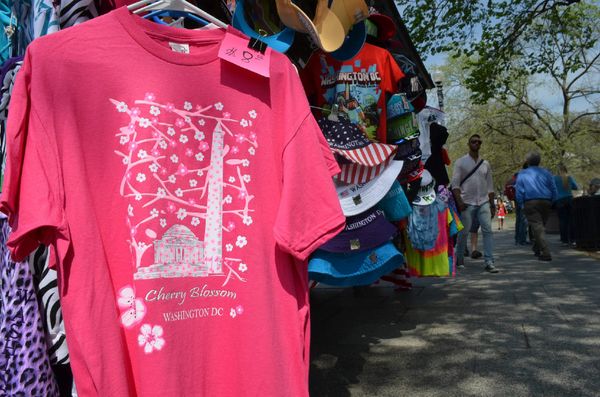 Washington Cherry Blossom - Sputnik International