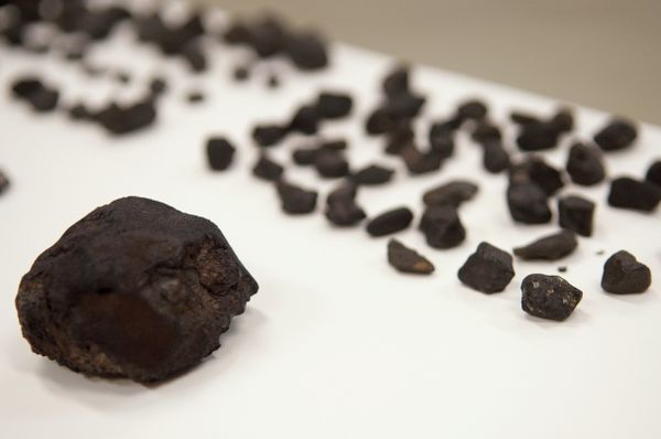 Dozens of pieces of the meteorite that hit Russia in February are on display at the Field Museum of Natural History in Chicago. - Sputnik International