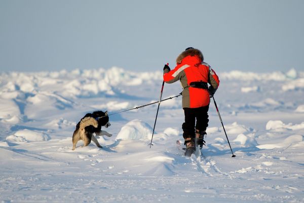 Konyukhov-Simonov Expedition Leaves North Pole for Greenland - Sputnik International