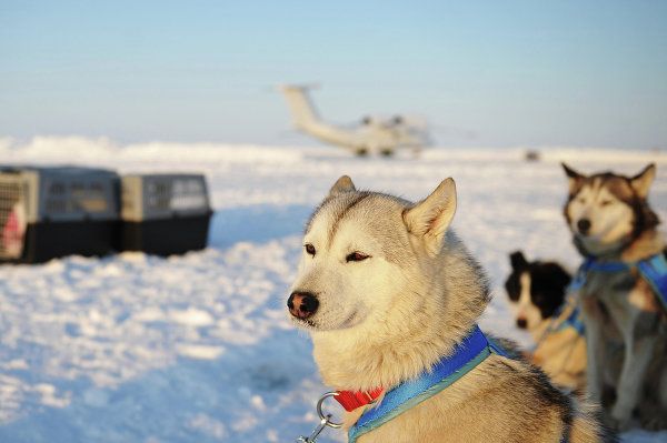 Konyukhov-Simonov Expedition Leaves North Pole for Greenland - Sputnik International