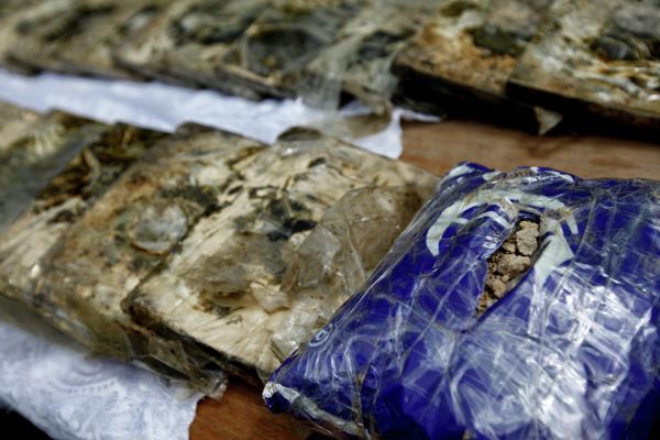 Russian Police Seize Almost 100 Kg of Hashish - Sputnik International