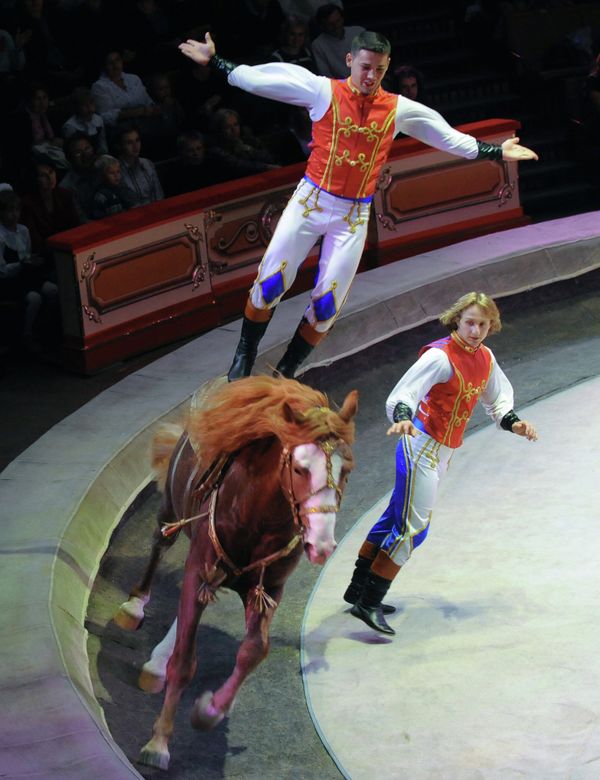 The Magic of Circus - Sputnik International