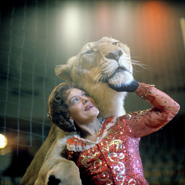 The Magic of Circus - Sputnik International