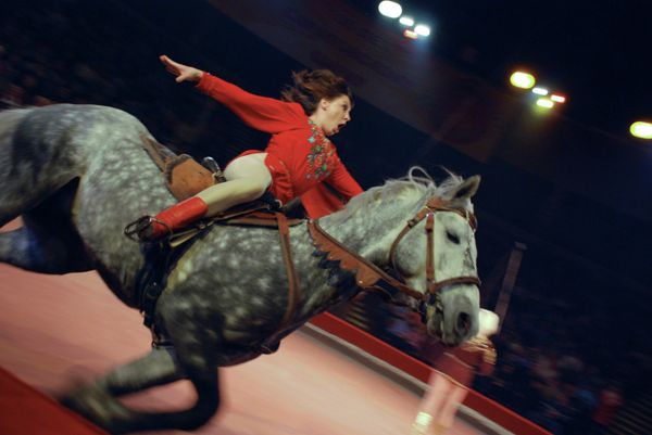 The Magic of Circus - Sputnik International