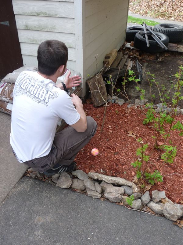Magomed Imakaev, a 27-year-old Chechen refugee living on the outskirts of Boston touching a branch on the medlar, a fruit-bearing tree common in the North Caucasus that he planted in his backyard to remind him of home - Sputnik International