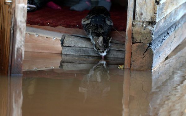 Flooded houses in Novgorod Region villages Flooded houses in Novgorod Region villages - Sputnik International