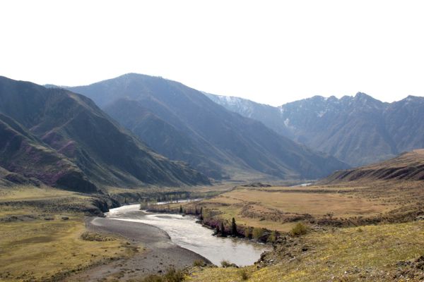 Spring in the Altai Mountains - Sputnik International