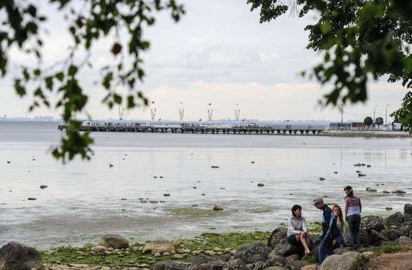 Gulf of Finland (archive) - Sputnik International