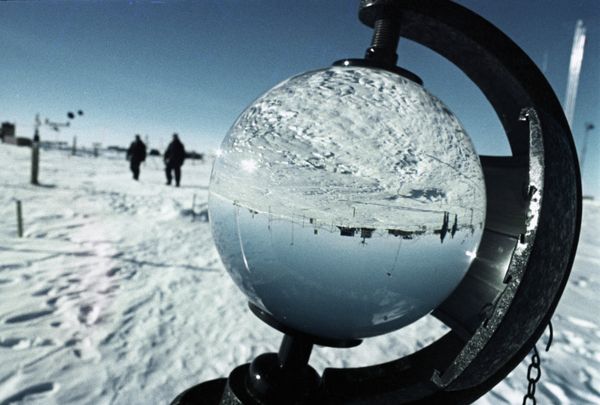 Russia Blocks Proposal for Antarctic Wildlife Reserve - Sputnik International