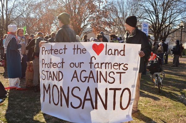 A rally against biotech giant Monsanto in Washington, DC on January 10, 2013. A rally against biotech giant Monsanto in Washington, DC on January 10, 2013. - Sputnik International