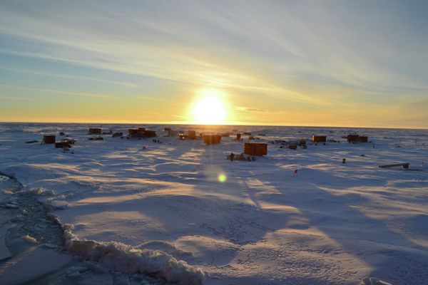 Russian North Pole 40 (SP-40) drifting polar research station - Sputnik International