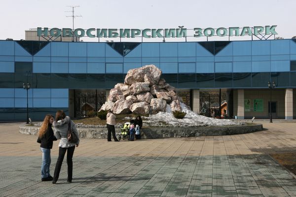 Novosibirsk zoo - Sputnik International