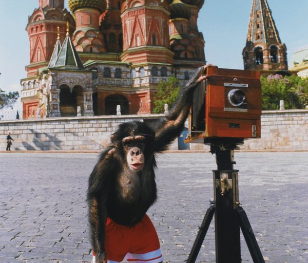 Famous animals - Sputnik International