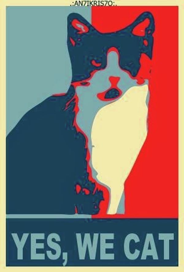 One of Morris the cat's campaign posters for his mayoral run in the Mexican city of Xalapa One of Morris the cat's campaign posters for his mayoral run in the Mexican city of Xalapa - Sputnik International
