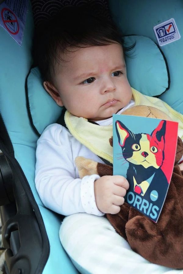 A three-month-old supporter holds a Shepard Fairey-style postcard of Morris, candidate for mayor in the Mexican city of Xalapa A three-month-old supporter holds a Shepard Fairey-style postcard of Morris, candidate for mayor in the Mexican city of Xalapa - Sputnik International