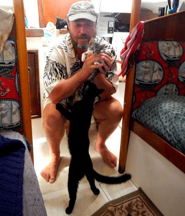 Sergei Morozov with his cats  - Sputnik International