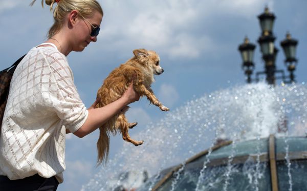 Moscow Breaks 100-Year Heat Record - Sputnik International