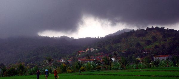 The Philippine government is getting ready for the worst-case scenario by evacuating residents and sending additional food supplies to central provinces, amid fears of approaching Typhoon Hagupit. The Philippine government is getting ready for the worst-case scenario by evacuating residents and sending additional food supplies to central provinces, amid fears of approaching Typhoon Hagupit. - Sputnik International