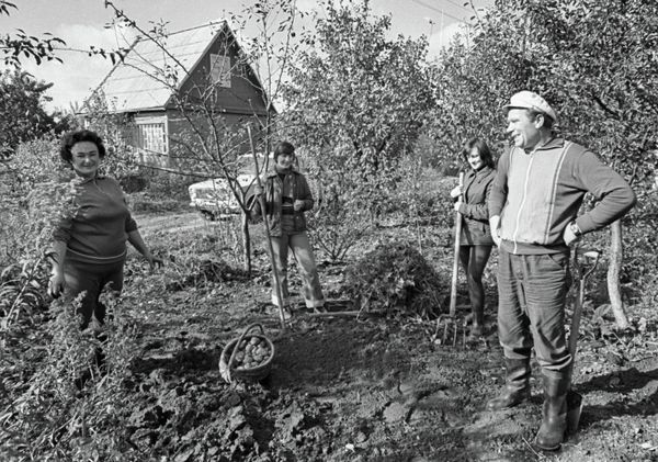 Soviet-Era Country Homes Soviet-Era Country Homes - Sputnik International