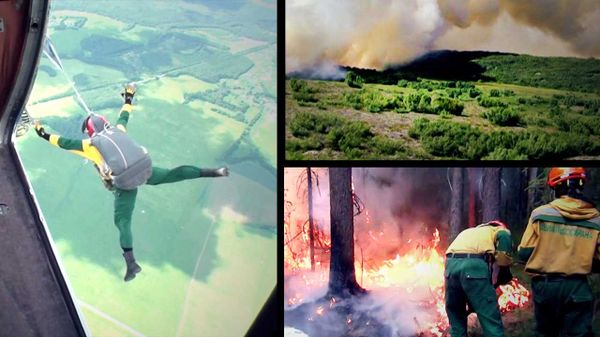 Airborne Firefighters Risk Their Lives to Fight Russia’s Forest Fires - Sputnik International
