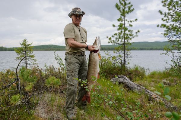 Footage of Putin Catching Fish Was Not Taken Years Ago – Kremlin Spokesman - Sputnik International