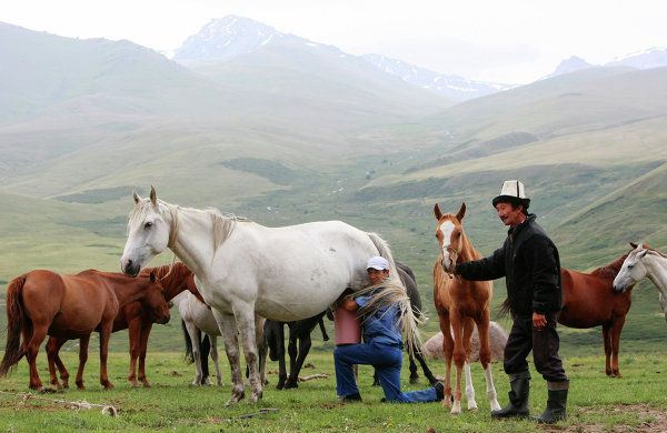 The Suusamyr Valley, a Herdsman’s El Dorado - Sputnik International