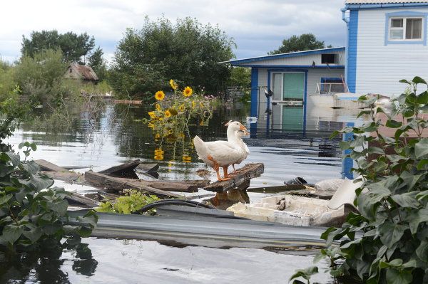 Life in Russia’s Flood-Hit Amur Region - Sputnik International