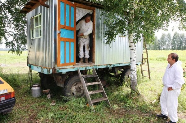 A Harvest of Sweet Gold - Siberia’s Nomadic Apiary - Sputnik International