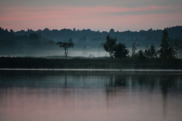 Exploring the Sights of the Pskov Region, an Open-Air Museum - Sputnik International