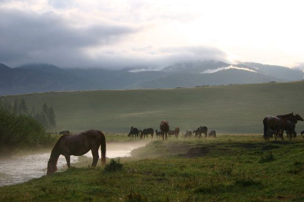 Tuva – A Land of Shamans and Horse Wranglers - Sputnik International