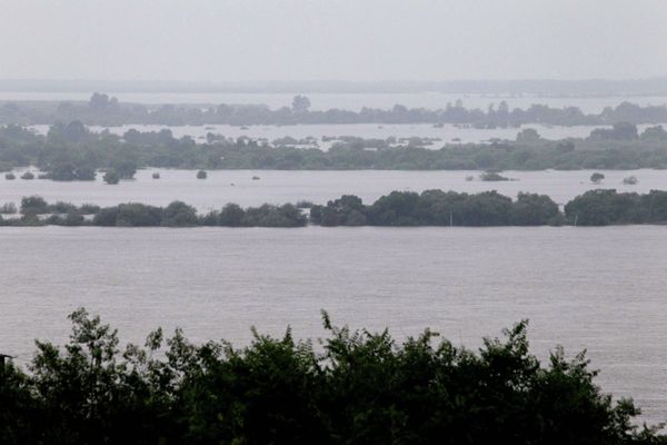 Bears Airlifted to Safety in Russia’s Flood-Hit Far East - Sputnik International