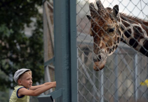 The Moscow Zoo: a Wildlife Kingdom Inside a Big City - Sputnik International
