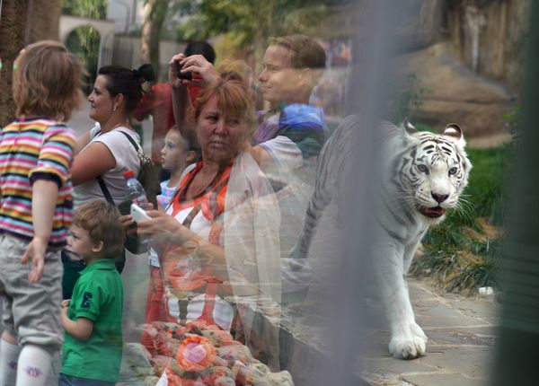 The Moscow Zoo: a Wildlife Kingdom Inside a Big City - Sputnik International