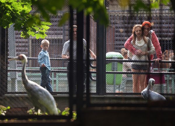 The Moscow Zoo: a Wildlife Kingdom Inside a Big City - Sputnik International