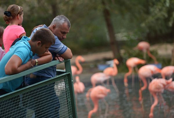 The Moscow Zoo: a Wildlife Kingdom Inside a Big City - Sputnik International