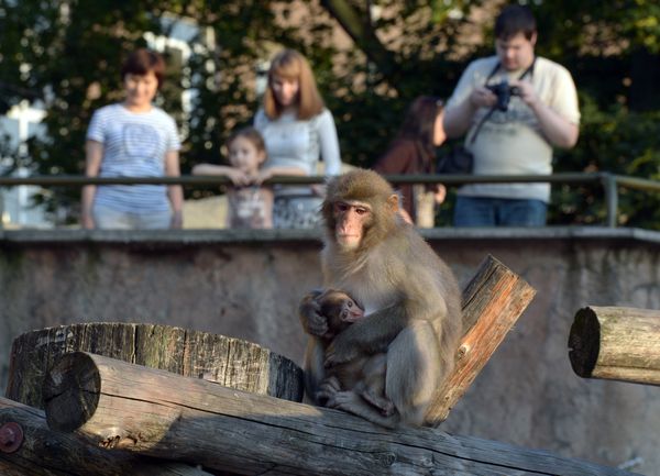 The Moscow Zoo: a Wildlife Kingdom Inside a Big City - Sputnik International
