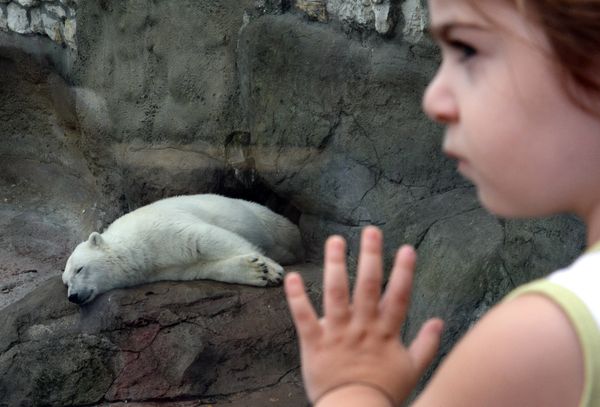 The Moscow Zoo: a Wildlife Kingdom Inside a Big City - Sputnik International