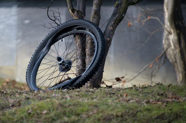 On Your Bike: Two-Wheeled Transport of All Shapes and Sizes - Sputnik International