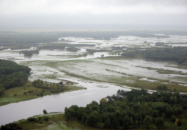 $360 Mln Promised to Russian Flood Victims - Sputnik International