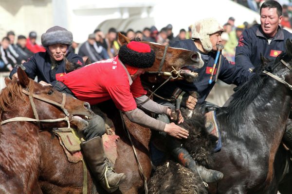 ‘Goat Polo’ - Sputnik International