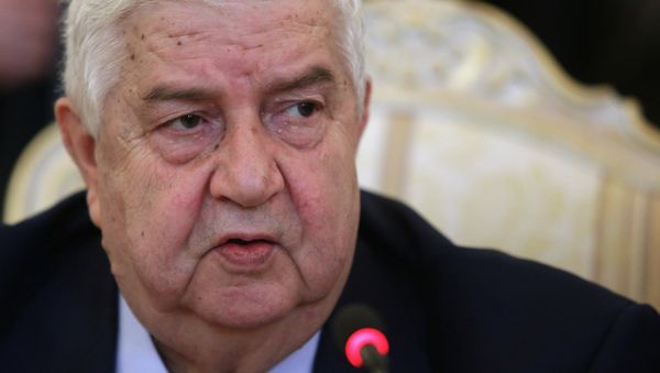 Syrian Foreign Minister Walid Muallem - Sputnik International