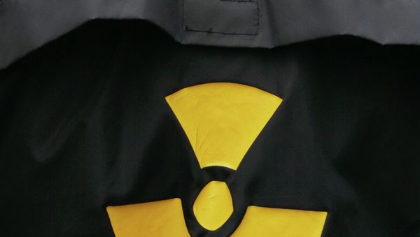 IAEA to Study Environmental Impact of Russian Power Plant in Baltic - Sputnik International