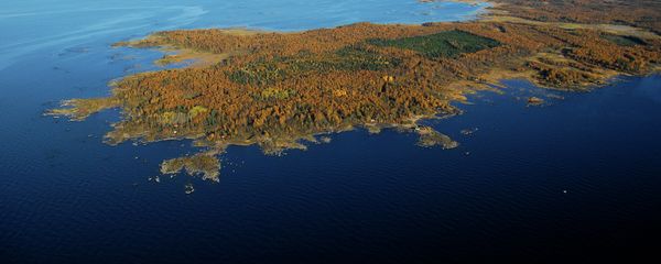 The site where the Hanhikivi-1 nuclear power plant is going to be built - Sputnik International