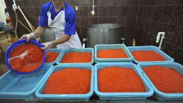Red caviar - Sputnik International