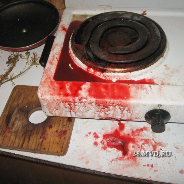 Beetroot soup borscht left after a bear broke in the house - Sputnik International