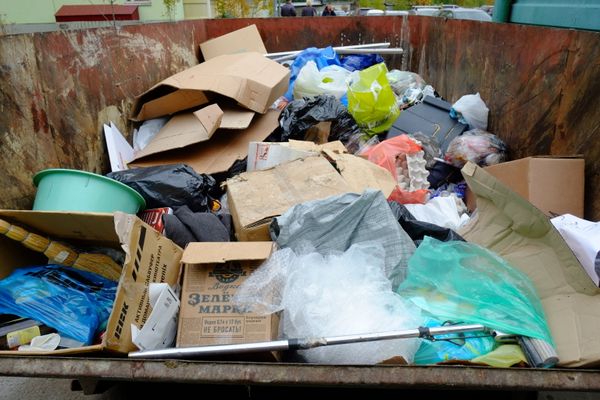 Aborted Fetuses Found in Trash Can Near Moscow - Sputnik International