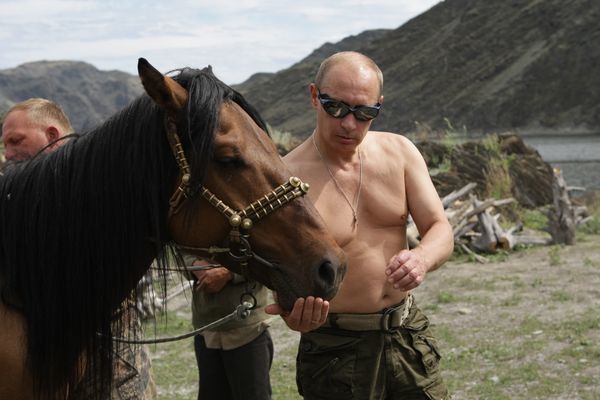 Vladimir Putin - Sputnik International